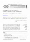 Research paper thumbnail of Strategic planning and change management. Examples of Barcelona, Seville and Saragossa (Spain)