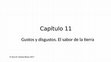 Research paper thumbnail of Gómez Bravo Capítulo 11 Gustos y disgustos El sabor de la tierra