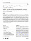 Research paper thumbnail of What is in a Meter? A Qualitative Exploration into the Implementation of Electricity Metering Across Mumbai Communities Using Normalisation Process Theory