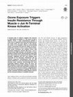 Research paper thumbnail of Ozone Exposure Triggers Insulin Resistance Through Muscle c-Jun N-Terminal Kinase Activation