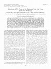 Research paper thumbnail of Infectious cDNA Clone of the Epidemic West Nile Virus from New York City