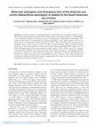 Research paper thumbnail of Molecular phylogeny and divergence time of the Antarctic sea urchin (Sterechinus neumayeri) in relation to the South American sea urchins