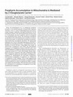 Research paper thumbnail of Porphyrin Accumulation in Mitochondria Is Mediated by 2-Oxoglutarate Carrier