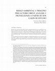 Research paper thumbnail of Riesgo Ambiental y Principio Precautorio: Breve Análisis y Proyecciones a Partir De Dos Casos De Estudio