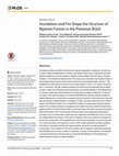 Research paper thumbnail of Inundation and Fire Shape the Structure of Riparian Forests in the Pantanal, Brazil