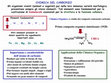 Research paper thumbnail of Idrocarburi e biologia