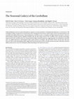 Research paper thumbnail of The Neuronal Code(s) of the Cerebellum