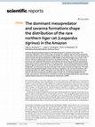 Research paper thumbnail of The dominant mesopredator and savanna formations shape the distribution of the rare northern tiger cat (Leopardus tigrinus) in the Amazon