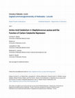 Research paper thumbnail of Amino Acid Catabolism in \u3ci\u3eStaphylococcus aureus\u3c/i\u3e and the Function of Carbon Catabolite Repression