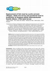 Research paper thumbnail of Replacement of fish meal by Lucilia sericata (Meigen, 1826) live larvae and powdered meal in production of stinging catfish Heteropneustes fossilis (Bloch, 1794) post-larvae