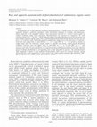 Research paper thumbnail of Rate and apparent quantum yield of photodissolution of sedimentary organic matter