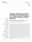 Research paper thumbnail of Changes in Expression and Cellular Localization of Rat Skeletal Muscle ClC-1 Chloride Channel in Relation to Age, Myofiber Phenotype and PKC Modulation