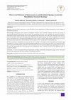 Research paper thumbnail of Does Local Delivery of Simvastatin-Loaded Gelatin Sponge Accelerate Mandibular Fracture Healing?