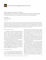 Research paper thumbnail of Who is Meddling in Egypt's Affairs? The Identity of the Asiatics in the Elephantine Stela of Setnakht and the Historicity of the Medinet Habu Asiatic War Reliefs,