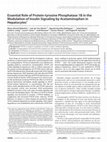 Research paper thumbnail of Essential Role of Protein-tyrosine Phosphatase 1B in the Modulation of Insulin Signaling by Acetaminophen in Hepatocytes