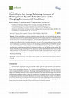 Research paper thumbnail of Flexibility in the Energy Balancing Network of Photosynthesis Enables Safe Operation under Changing Environmental Conditions