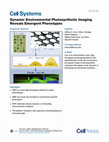 Research paper thumbnail of Dynamic Environmental Photosynthetic Imaging Reveals Emergent Phenotypes