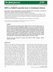 Research paper thumbnail of RAF2 is a RuBisCO assembly factor in Arabidopsis thaliana