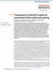 Research paper thumbnail of Transparency induced in opals via nanometer thick conformal coating