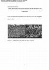 Research paper thumbnail of LiTaO 3 microcubes: the layered structure and the increased Curie temperature