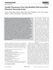 Research paper thumbnail of Tunable Fluorescence from Dye‐Modified DNA‐Assembled Plasmonic Nanocube Arrays