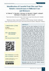 Research paper thumbnail of Identification of Cucurbit Fruit Flies and Their Relative Attractiveness to Different Cues and Releasers