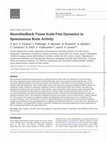 Research paper thumbnail of Neurofeedback Tunes Scale-Free Dynamics in Spontaneous Brain Activity