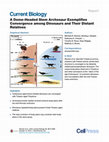 Research paper thumbnail of A Dome-Headed Stem Archosaur Exemplifies Convergence among Dinosaurs and Their Distant Relatives