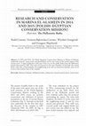 Research paper thumbnail of Research and conservation in Marina el-Alamein in 2014 and 2015 (Polish–Egyptian Conservation mission). Part two: The Hellenistic Baths