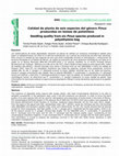 Research paper thumbnail of Calidad de planta de seis especies del género Pinus producidas en bolsas de polietileno