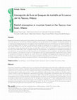 Research paper thumbnail of Intercepción de lluvia en bosques de montaña en la cuenca del río Texcoco, México