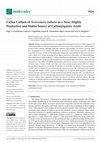 Research paper thumbnail of Callus Culture of Scorzonera radiata as a New, Highly Productive and Stable Source of Caffeoylquinic Acids