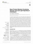 Research paper thumbnail of Basic Protein Modules Combining Abscisic Acid and Light Signaling in Arabidopsis