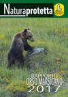 Research paper thumbnail of Bears in Human-Modified Landscapes: The Case Studies of the Cantabrian, Apennine, and Pindos Mountains