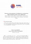 Research paper thumbnail of Structure determination of riboflavin by synchrotron high-resolution powder X-ray diffraction