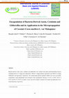 Research paper thumbnail of Encapsulation of Bacteria-Derived Auxin, Cytokinin and Gibberellin and its Application in the Micropropagation of Coconut (Cocos nucifera L. var Makapuno)