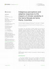 Research paper thumbnail of Indigenous perceptions and adaptive responses to the impacts of climate variability in the Sierra Nevada de Santa Marta, Colombia