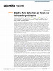 Research paper thumbnail of Electric field detection as floral cue in hoverfly pollination