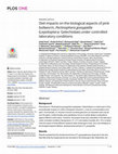 Research paper thumbnail of Diet impacts on the biological aspects of pink bollworm, Pectinophora gossypiella (Lepidoptera: Gelechiidae) under controlled laboratory conditions