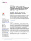 Research paper thumbnail of Who was buried with Nestor's Cup? Macroscopic and microscopic analyses of the cremated remains from Tomb 168 (second half of the 8 th century BCE, Pithekoussai, Ischia Island, Italy