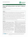 Research paper thumbnail of Maize IgE binding proteins: each plant a different profile?