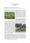 Research paper thumbnail of De renacales y monos en San Martín