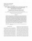 Research paper thumbnail of Heavy Metal Contamination in Vegetable Parts and Soil of Cultivated Capsicum Annum and Abelmoschus Esculentus