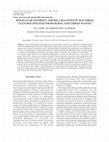 Research paper thumbnail of Molecular Diversity Among Cellulolytic Bacterial Cultures Isolated from Rural and Urban Wastes