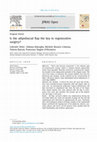 Research paper thumbnail of Is the adipofascial flap the key to regenerative surgery?