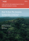 Research paper thumbnail of How to save the Amazon: why the forest has more value standing than cut down