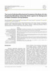 Research paper thumbnail of The Level of Individual Biochemical Constants of the Brain of in the Krushinsky-Molodkina Inbred Rat Strain against the Background of Radon Inhalation During Epilepsy