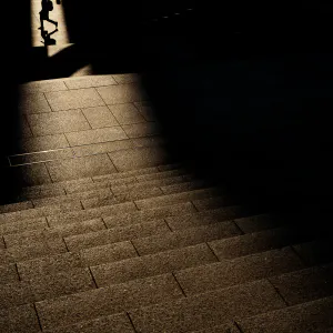 Silhouette crossing in front of Hie Jinja