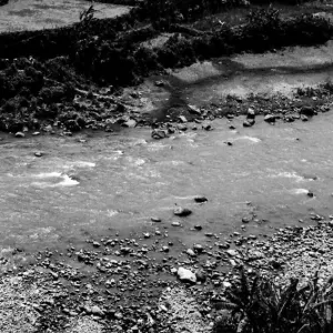 Rice paddies on riverbank