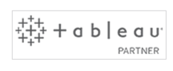 tableau Partner